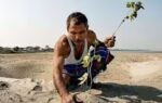 how jadav payengs trees changed the landscape of majuli