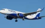 indigo ventures