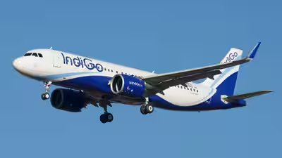 indigo ventures