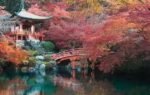 japan canva