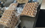 laid off by amazon woman starts chicken farm i have my product the eggs