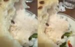 live worm in sandwich