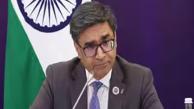 mea says 239 indian nationals discharged from russian army
