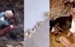 miners at work in panna