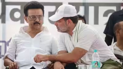 mk stalin and rahul gandhi