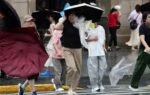 over 1 million evacuated as typhoon dolphin hits eastern china photo ani