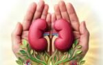 over 61k wait for kidney transplants