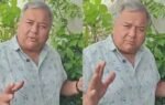 peepal baba recommends 5 plants to make your balcony greener amp easier to maintain