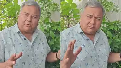 peepal baba recommends 5 plants to make your balcony greener amp easier to maintain