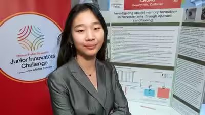 seungah chung
