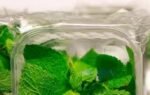 store mint leaves and keep them fresh for longer