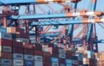 suez canal rebound lifts outlook for indian exporters