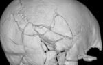 the 14th century warriors skull was broken in 61 places university of bradford photo