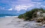 the island was protected as a national seashore in 1965 picture nps