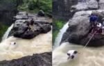 tourists save boy after near fatal fall netizens react