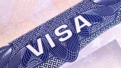 us universities are pausing cpt programs after new memo from ice