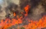 utah wildfire