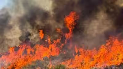 utah wildfire