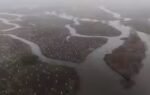 what can toughen louisiana coast against worsening storms 4 years and 30000 trees
