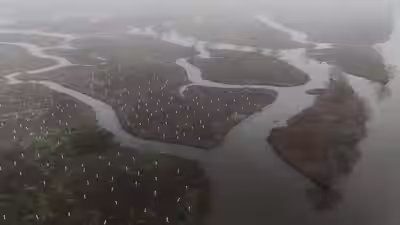 what can toughen louisiana coast against worsening storms 4 years and 30000 trees