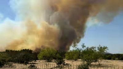 wildfires
