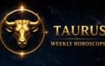 1788606913 taurus