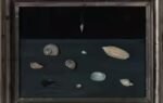 alderman merriams shells 1951