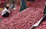 centre expands rs 35kg sale to 19 cities amid supply concerns