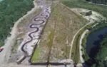 century bog was previously a working cranberry bog photo cape and islands