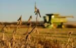 china cuts tariffs on us farm goods