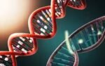 dna