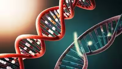 dna