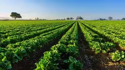 farming