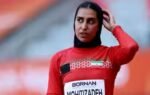 fatemeh mohitizadeh