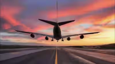 flight