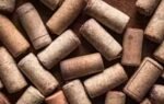 gardeners putting corks in their potted plants