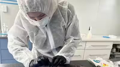 h1n1 virus in india