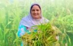 how a moga woman turned mockery into an rs 80 lakh farming enterprise