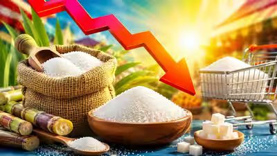 imported sugar is yet to land so why is it getting cheaper