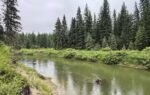 in 2003 sean and melodye rooney bought montana land 23 years later their 57 acres were protected