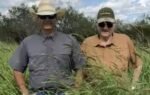 jim willis and john webb