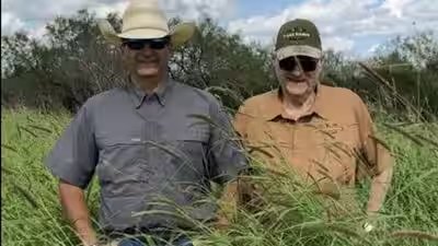 jim willis and john webb