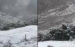 kinnaur
