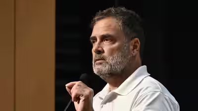leader of the opposition in the lok sabha rahul gandhi