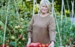 martha stewart