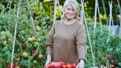 martha stewart