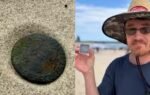metal detectorist stumbles on a 140 year old zanzibar coin