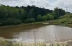mount gilead lake in the falling water park