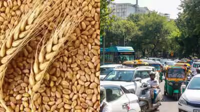 msp hikes for rabi crops show pm modi always works in our interest farmers