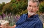 pierce brosnan